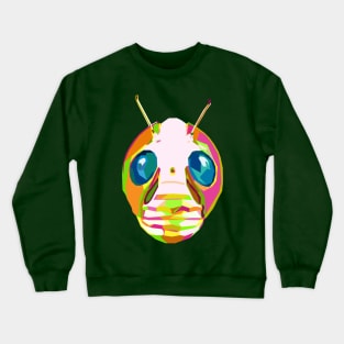 Colorful V3 Crewneck Sweatshirt